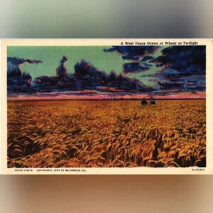 1487-E - A WEST TEXAS OCEAN OF WHEAT AT TWILIGHT (1935)- Postcard